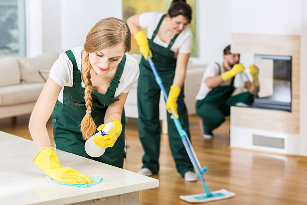 The Unique Home Services - Electrical, Plumbing, HVAC & Cleaning | San ...